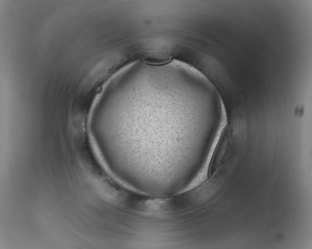 X0000112730172200909171135