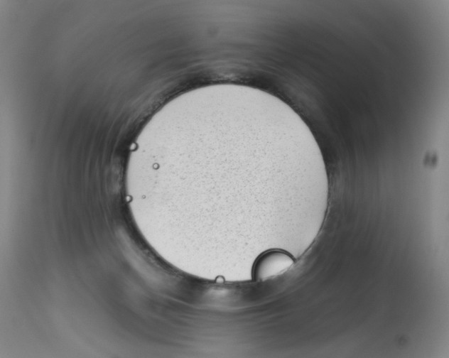 X0000112730174200909171135