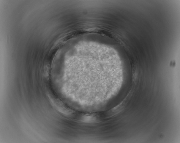 X0000112730175200909171135