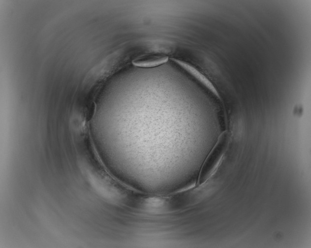 X0000112730176200909171135