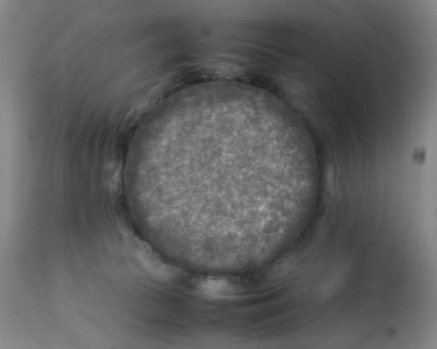 X0000112730177200909171136
