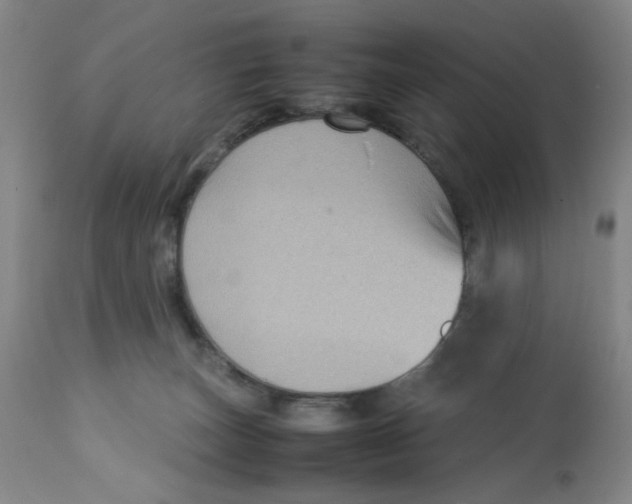X0000112730179200909171136