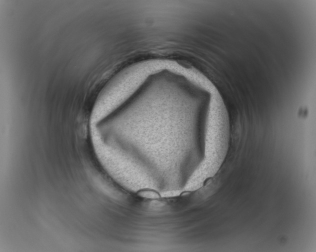 X0000112730180200909171136