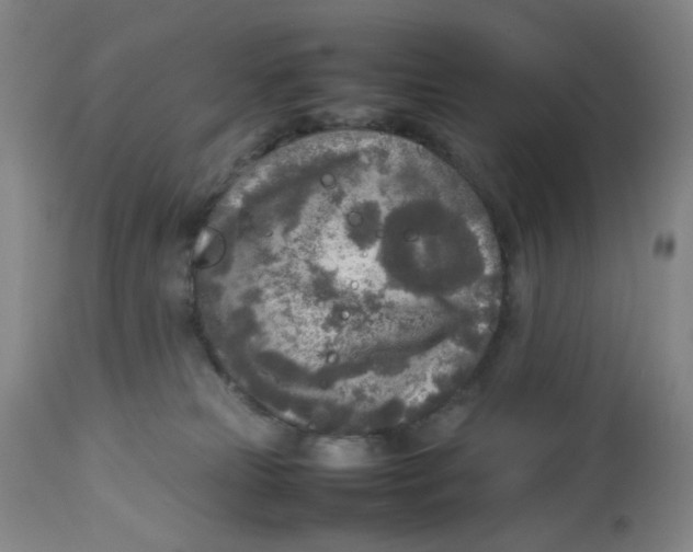 X0000112730181200909171136