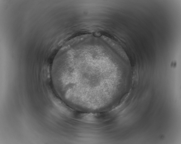 X0000112730182200909171136