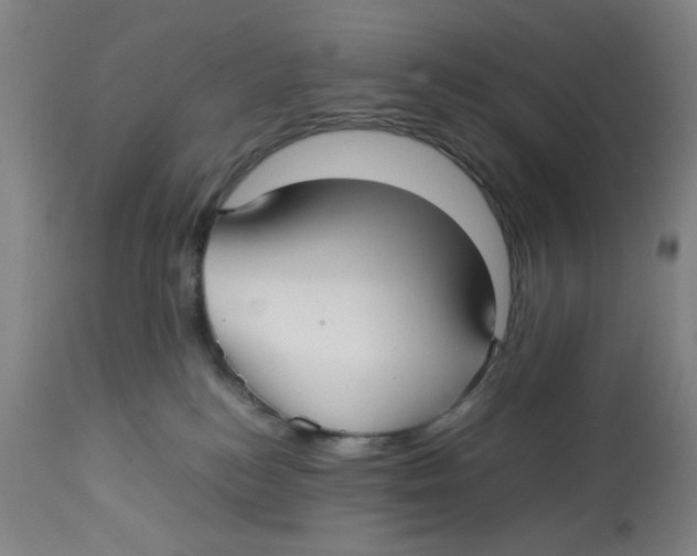X0000112730184200909171136