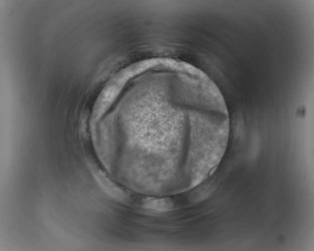 X0000112730185200909171136