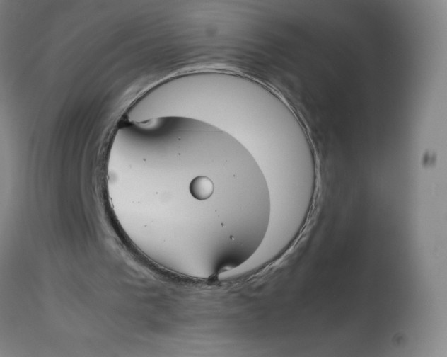 X0000112730193200909171135