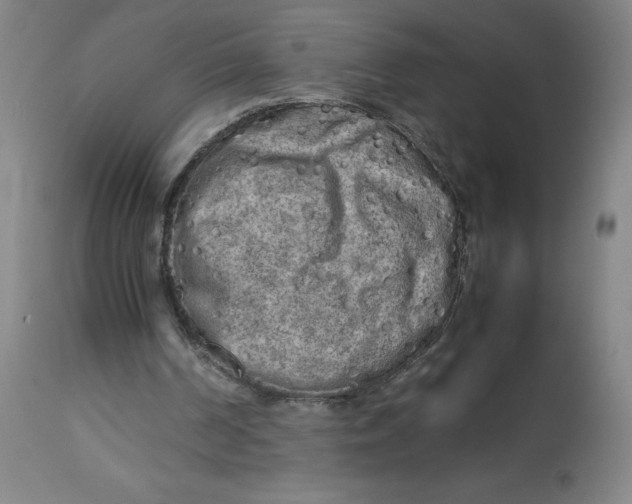 X0000112730194200909171135