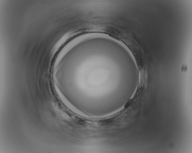 X0000112730195200909171135