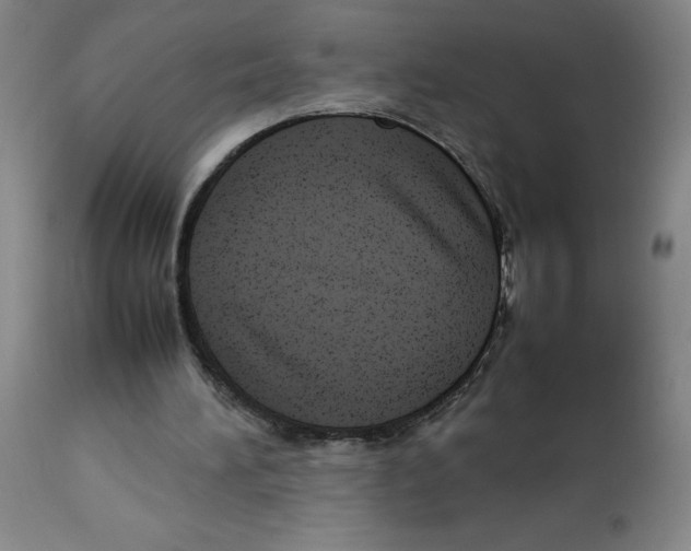 X0000112730196200909171135