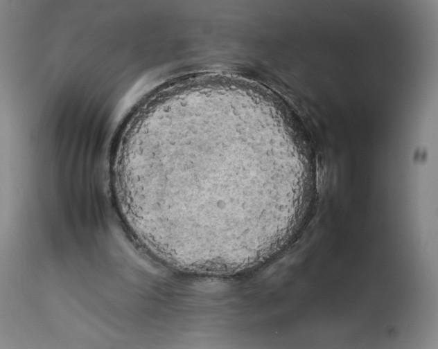 X0000112730198200909171135