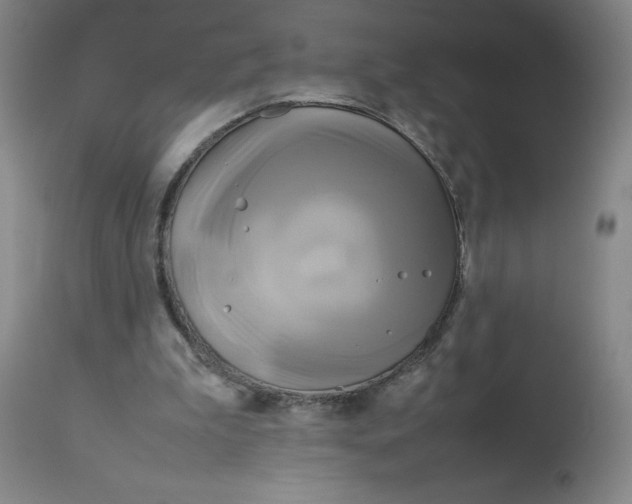 X0000112730199200909171135