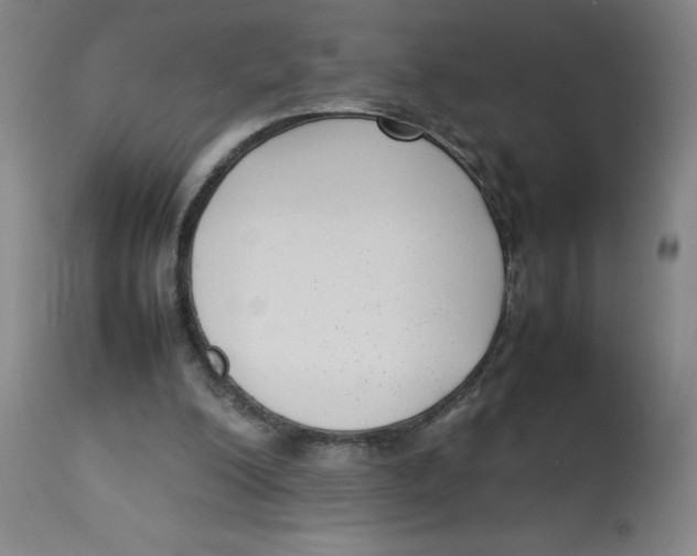 X0000112730200200909171135