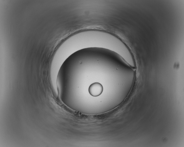 X0000112730201200909171135