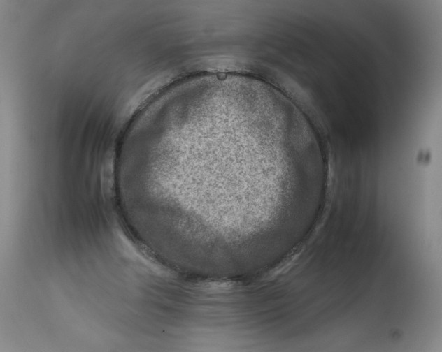 X0000112730202200909171135