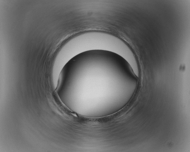 X0000112730203200909171135