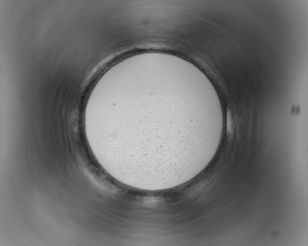 X0000112730204200909171135