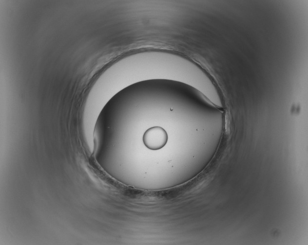 X0000112730205200909171135