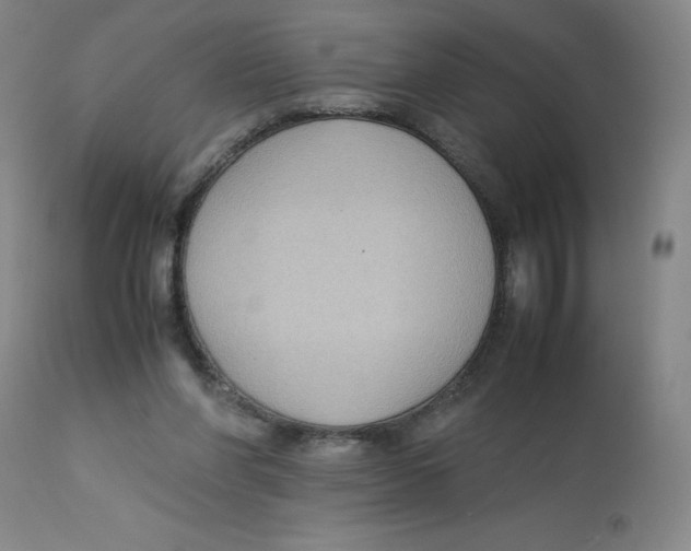 X0000112730206200909171135