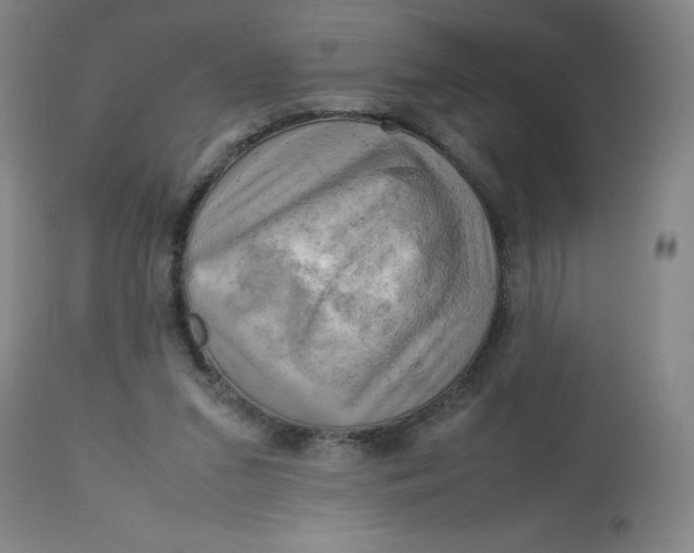 X0000112730207200909171135