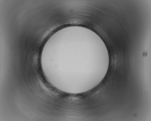 X0000112730208200909171135