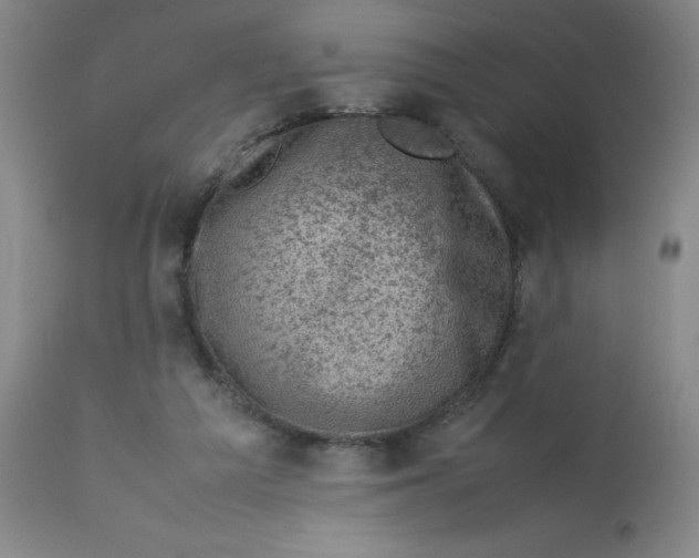 X0000112730209200909171135