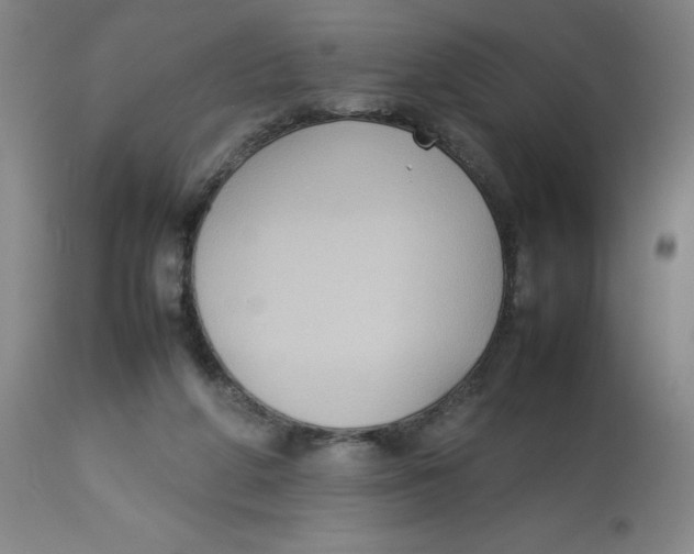 X0000112730210200909171135