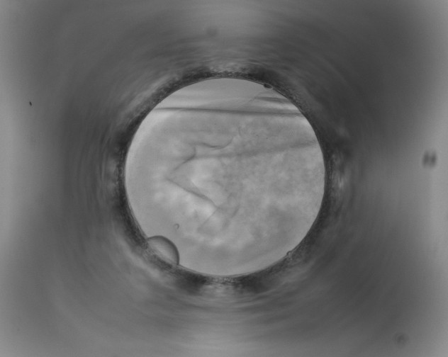 X0000112730211200909171135