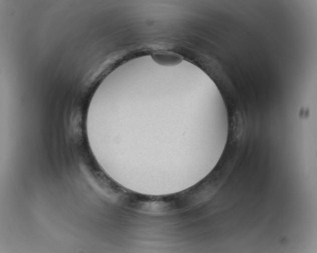 X0000112730212200909171135