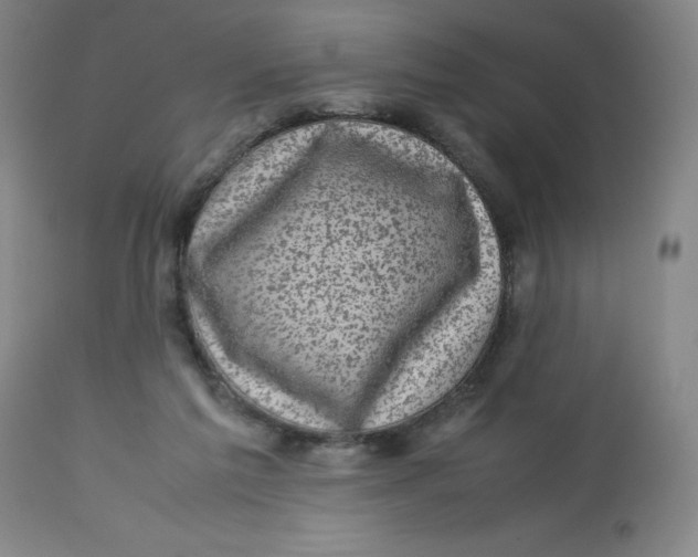 X0000112730213200909171135