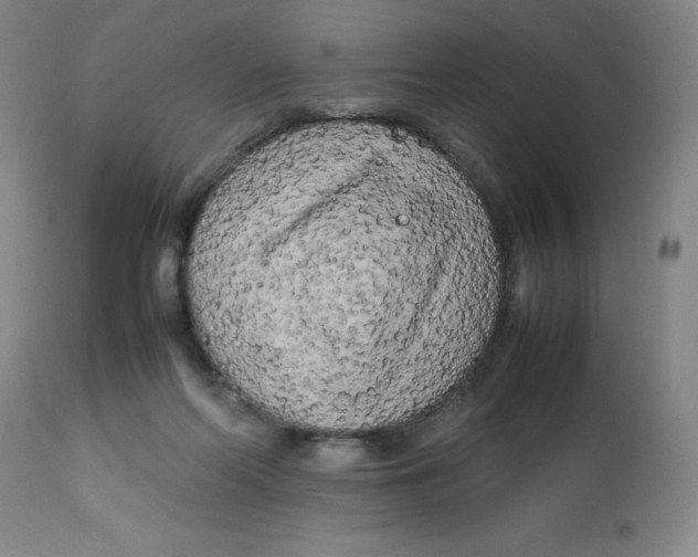 X0000112730214200909171135