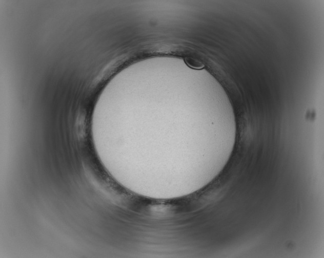 X0000112730216200909171135