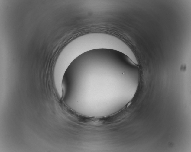 X0000112730217200909171135