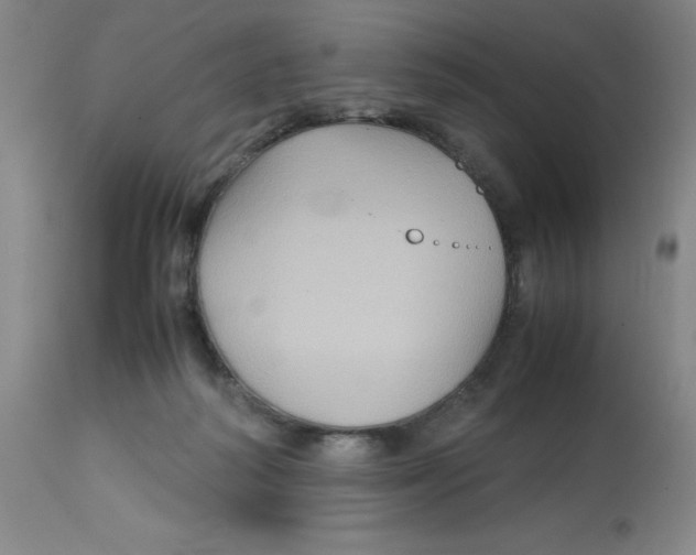 X0000112730218200909171135
