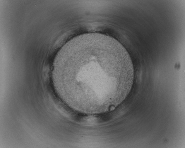 X0000112730219200909171135