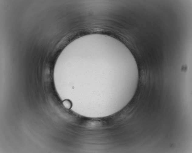 X0000112730220200909171135