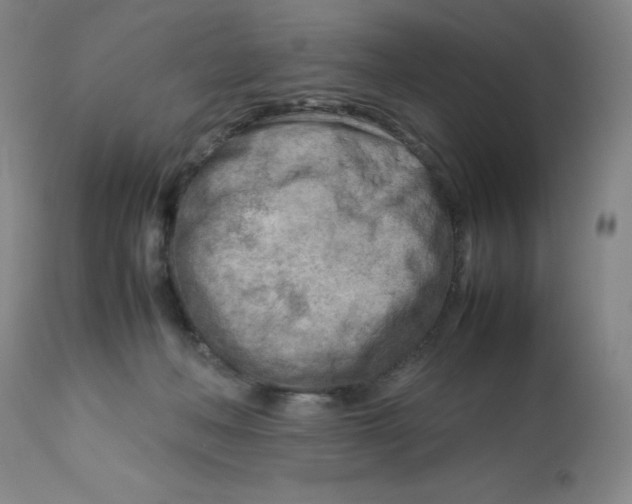 X0000112730222200909171135