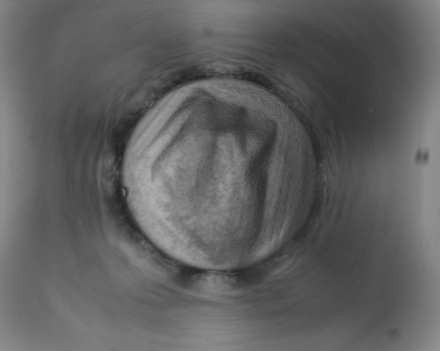 X0000112730223200909171135