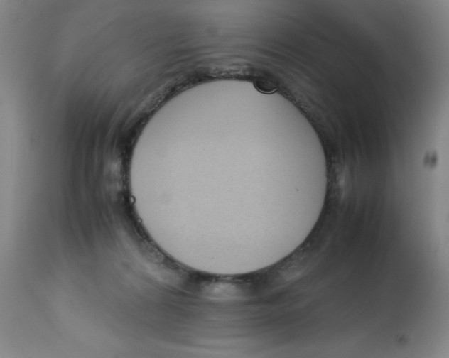 X0000112730224200909171135