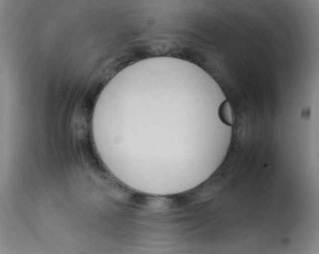 X0000112730226200909171135
