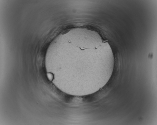 X0000112730227200909171135