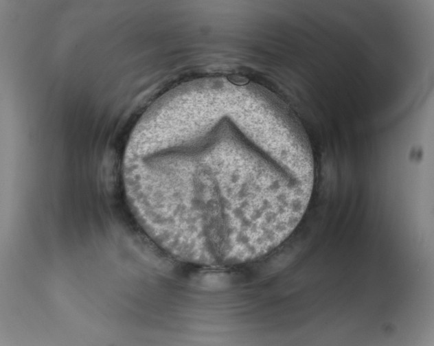 X0000112730228200909171135