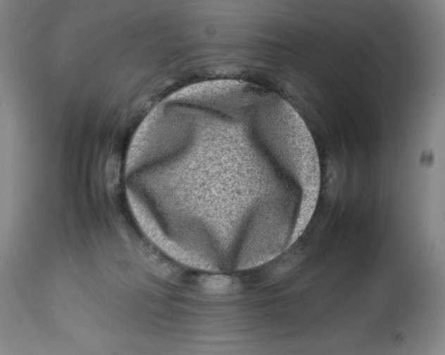 X0000112730230200909171135