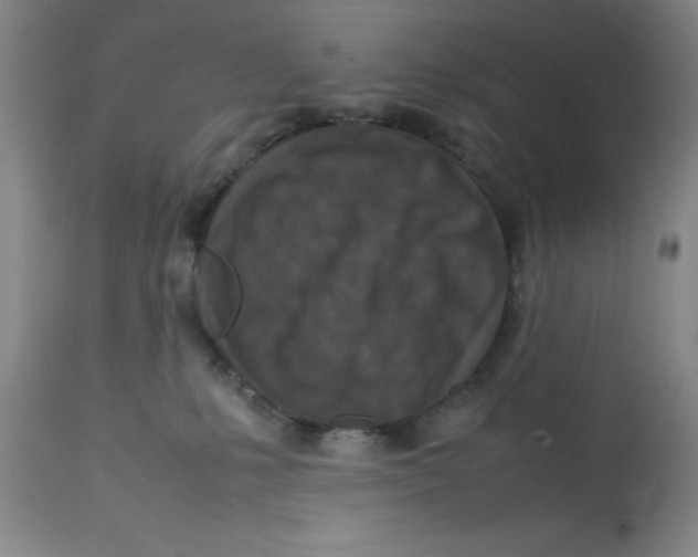 X0000112730231200909171135