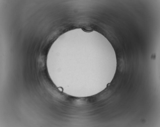 X0000112730232200909171134