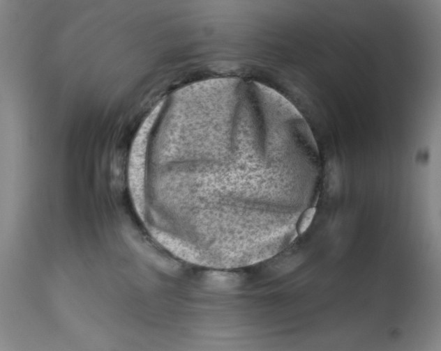 X0000112730234200909171134