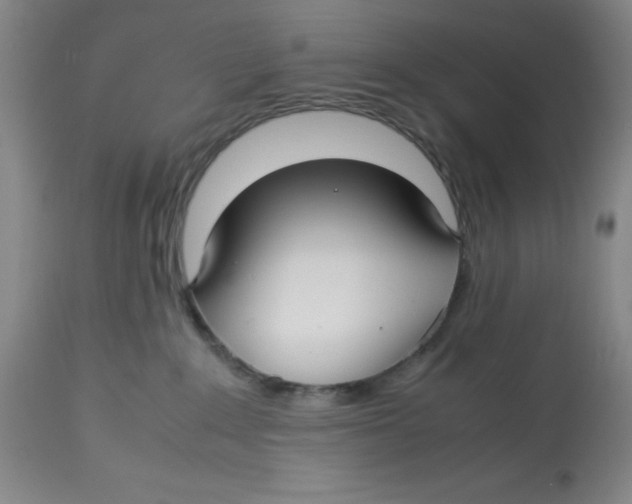 X0000112730235200909171134