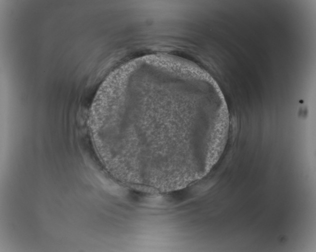 X0000112730237200909171134
