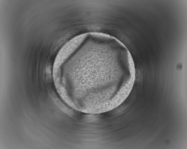 X0000112730238200909171134